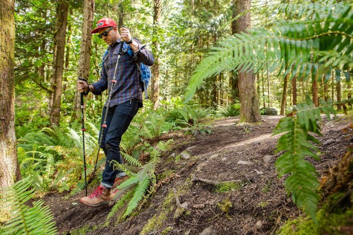 Cascade Mountain Tech Trekking Poles - Carbon Fiber Walking or Hiking Sticks with Quick Adjustable Locks - Image 7